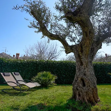 Palm View * Rovinj