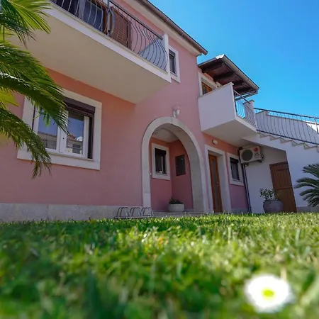 Palm View